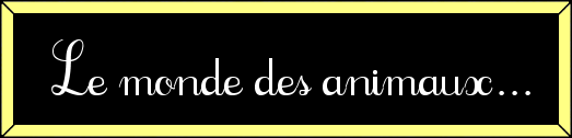 animaux